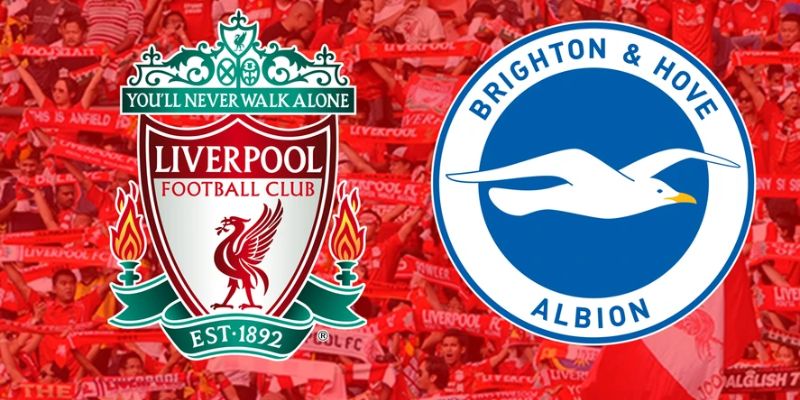 Soi Kèo Liverpool Vs Brighton Hove Albion Lúc 03:00 Ngày 15/2 1 Soi Kèo Liverpool Vs Brighton Hove Albion Lúc 03:00 Ngày 15/2