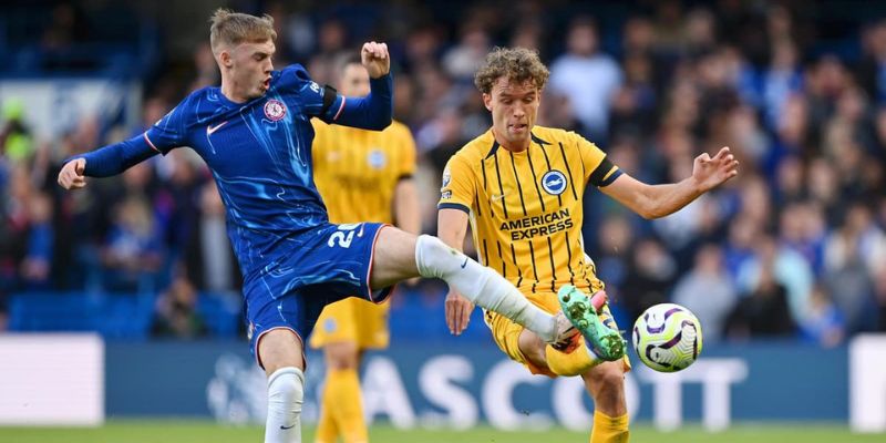 Đánh giá phong độ Brighton Hove Albion vs Chelsea