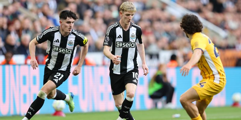 Đánh giá phong độ khác biệt Newcastle vs Brighton Hove Albion