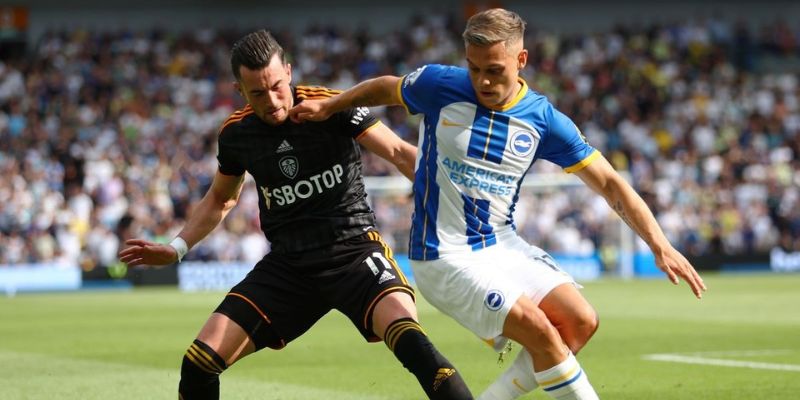 Phong độ của hai đội Leeds United vs Brighton Hove Albion